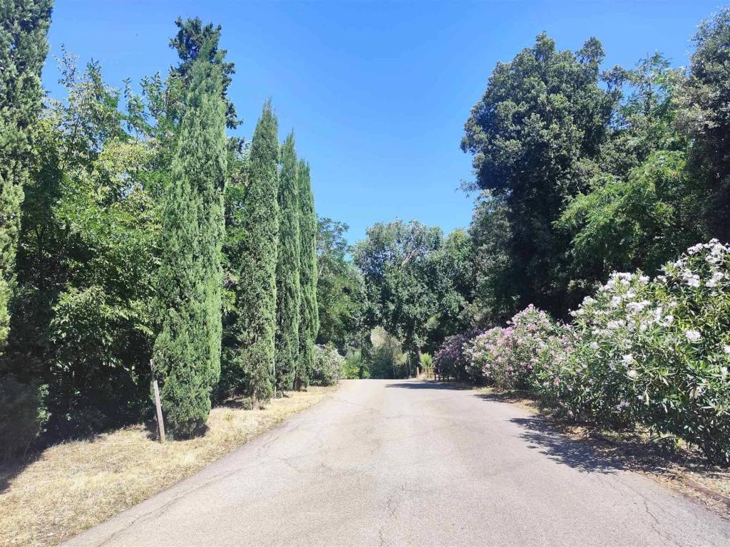 Appartamento a Gavorrano in via ariosto - Foto 2