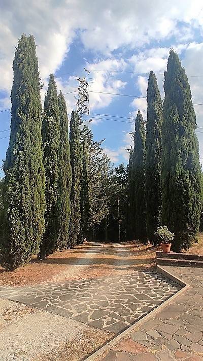 Casa indipendente a Massa marittima in VIA DI PEROLLA - Foto 5