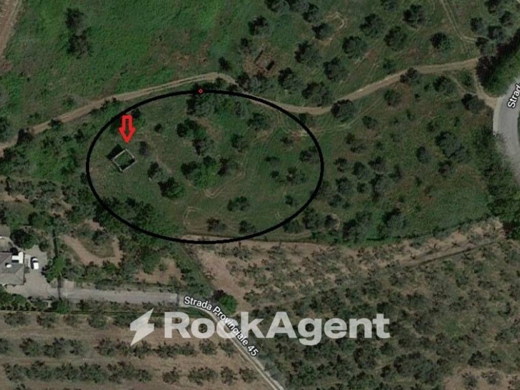 Rustico / casale a Moscufo in SP 45 - Foto 3