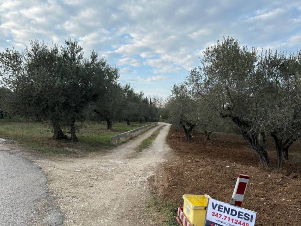 Rustico / casale a Moscufo in SP 45 - Foto 5