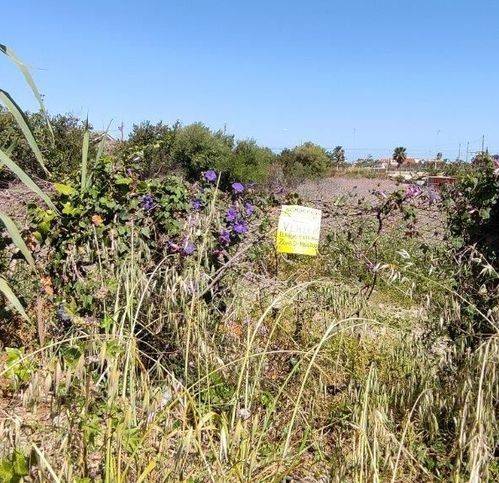 Terreno a Campofelice di roccella in Sp9 48 - Foto 3