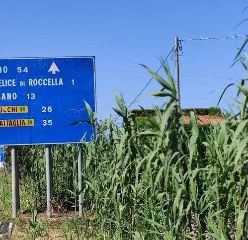 Terreno a Campofelice di roccella in Sp9 48 - Foto 4