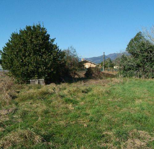 Villa a Massarosa in Via Delle Mimose 89 - Foto 3
