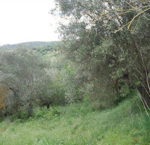 Terreno a Passignano sul trasimeno - Foto 2