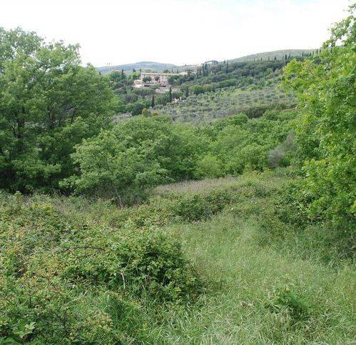 Terreno a Passignano sul trasimeno - Foto 4