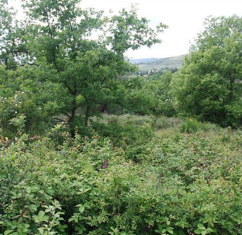 Terreno a Passignano sul trasimeno - Foto 5