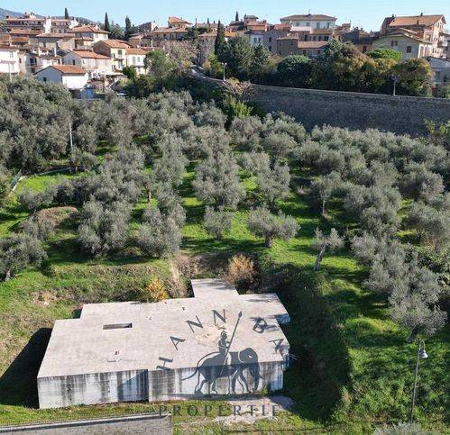 Terreno a Tuoro sul trasimeno in Via Fornelli - Foto 3