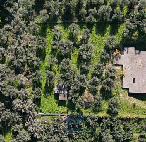 Terreno a Tuoro sul trasimeno in Via Fornelli - Foto 5