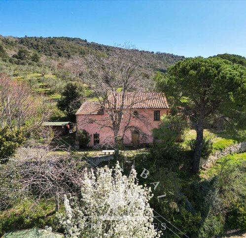 Rustico / casale a Tuoro sul trasimeno in Località Torraccia 5 - Foto 3