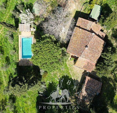 Rustico / casale a Tuoro sul trasimeno in Località Torraccia 5 - Foto 5