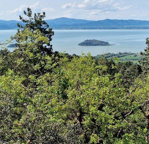 Villa a Tuoro sul trasimeno in Via Dei Pini 24 - Foto 2
