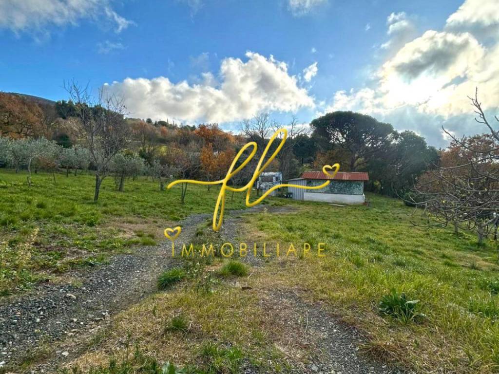 Terreno a Castellina marittima - Foto 3