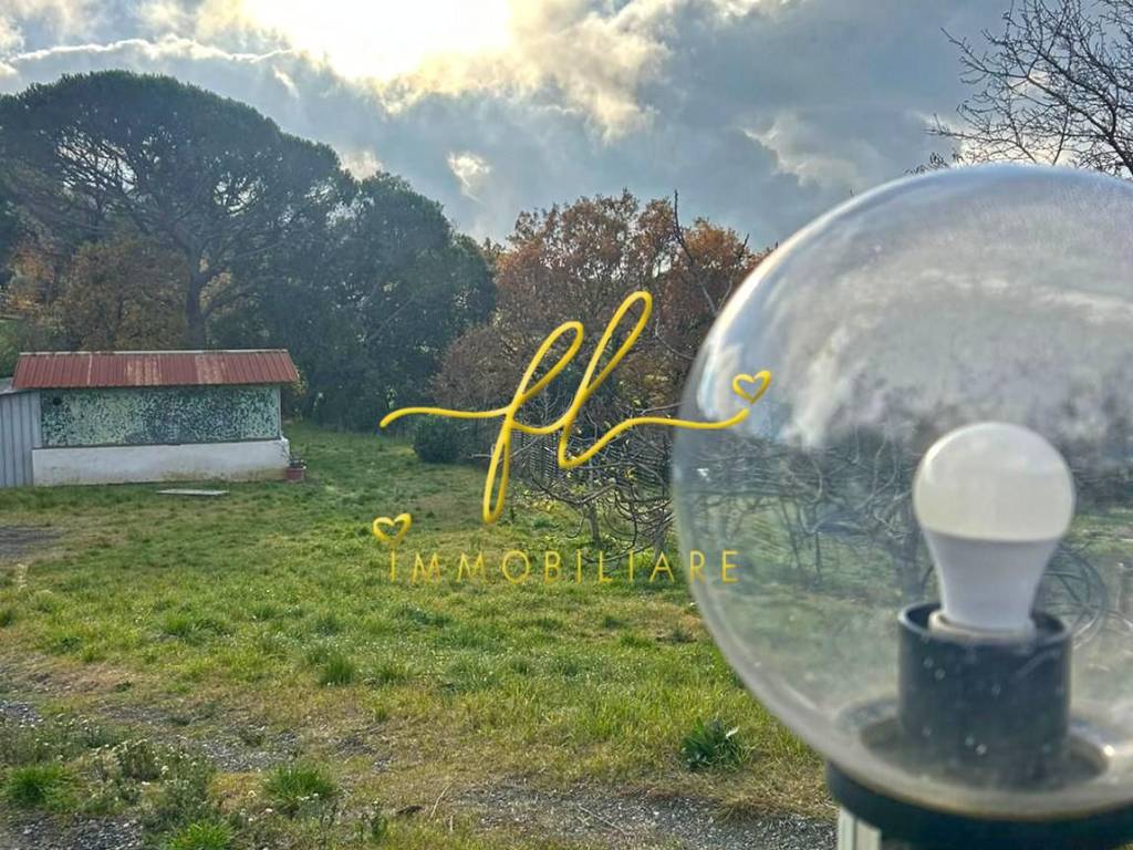 Terreno a Castellina marittima - Foto 5