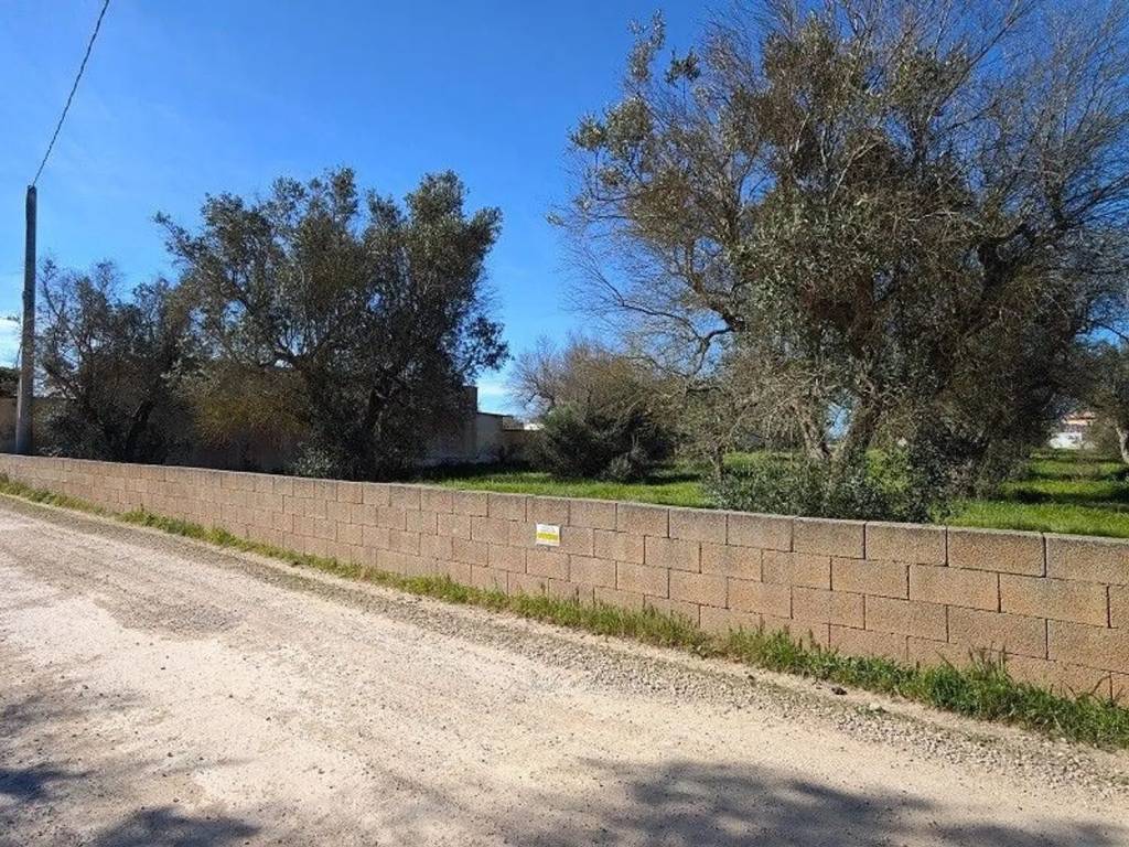 Terreno a Porto cesareo in Via Socrate - Foto 2