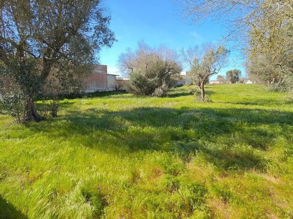 Terreno a Porto cesareo in Via Socrate - Foto 3