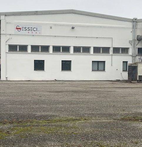 Immobile a Polesella in Via Roma 1216 A - Foto 4