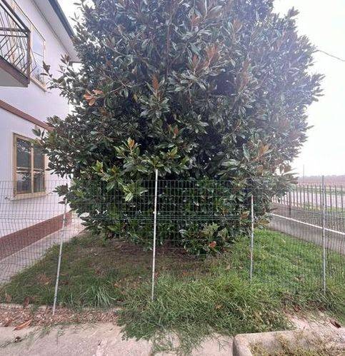 Casa indipendente a Copparo in Via Seminiato 9 - Foto 5