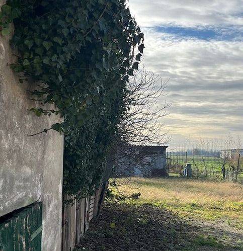 Villetta a schiera a Riva del po in Via 2 Giugno 28 - Foto 3
