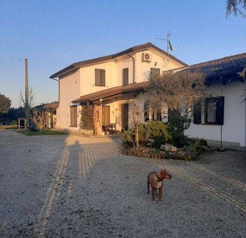 Villa a Riva del po in Via Olmi 2 - Foto 5