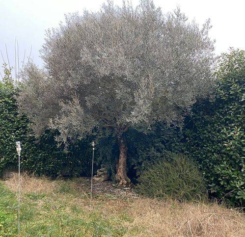 Villetta a schiera a Ferrara in Via Pasini Bruno - Foto 4