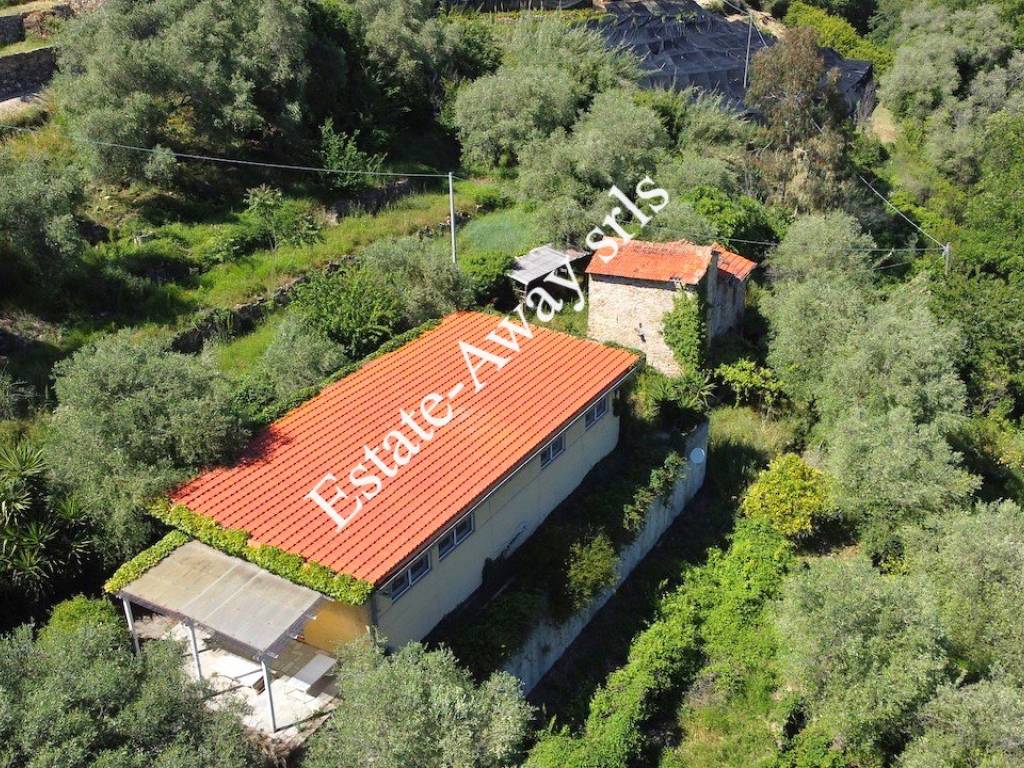 Casa indipendente a Vallebona in Via Giovanni XXIII - Foto 3