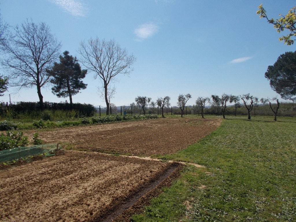 Terreno a Castel san pietro terme in Via Carlo Collodi - Foto 2