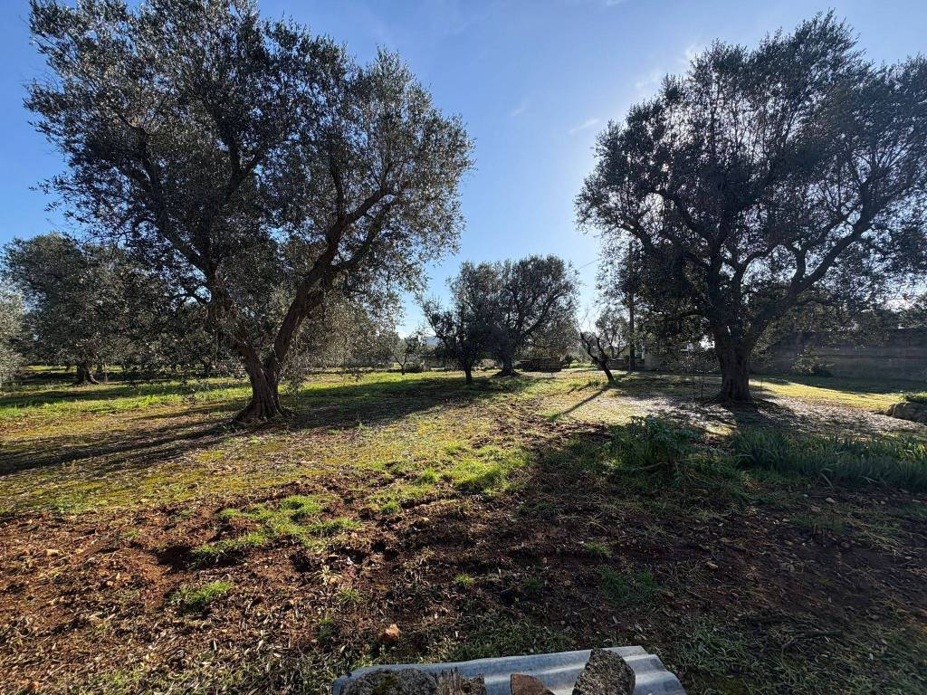 Terreno a Manduria in Contrada Inforcata - Foto 3