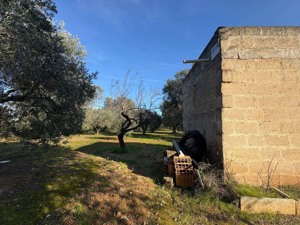 Terreno a Manduria in Contrada Inforcata - Foto 5