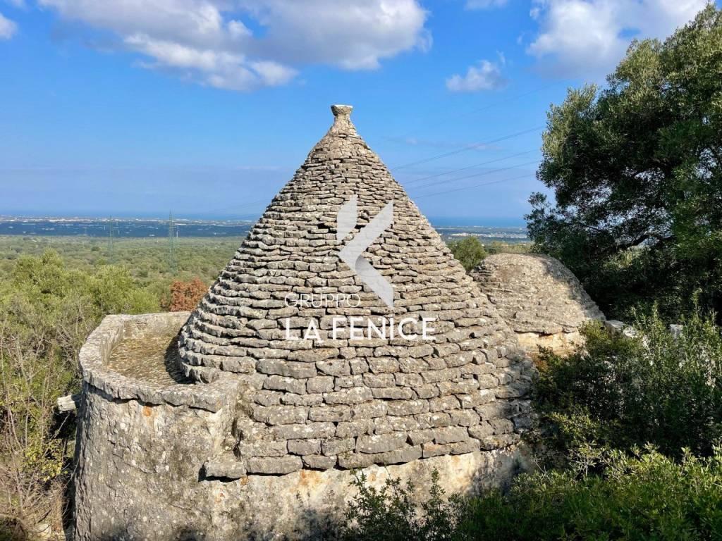 Rustico / casale a Fasano in C.da Gravinella - Foto 3