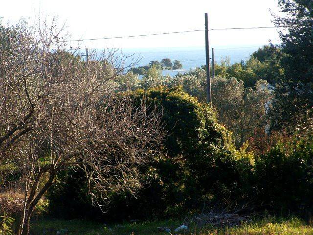 Terreno a Castrignano del capo in Strada Provinciale Lavati - Foto 2