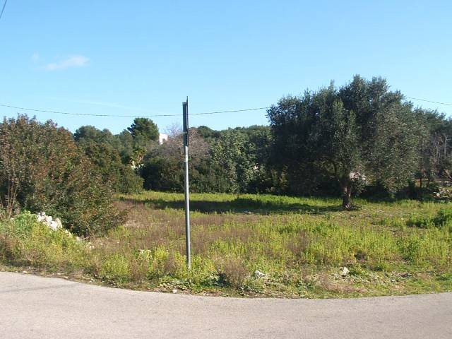 Terreno a Castrignano del capo in Strada Provinciale Lavati - Foto 3