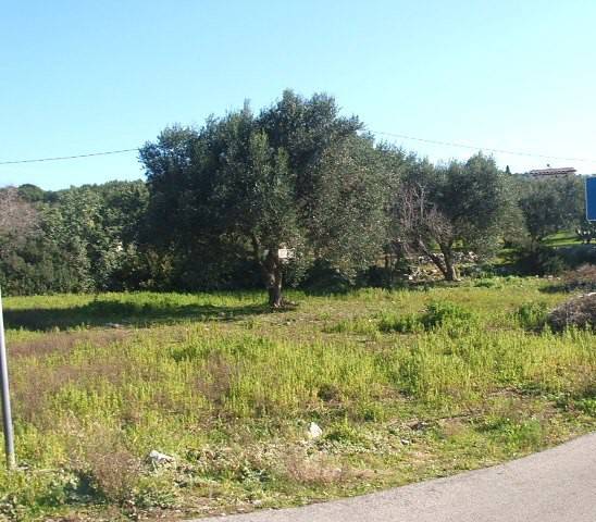 Terreno a Castrignano del capo in Strada Provinciale Lavati - Foto 4
