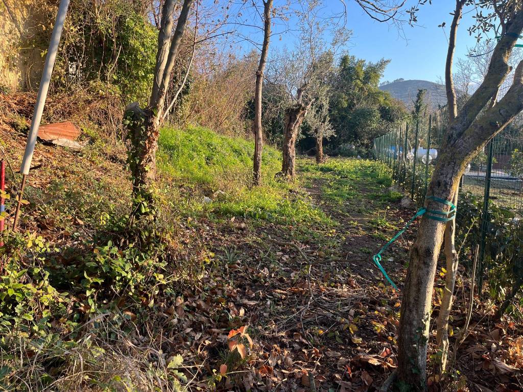 Terreno a Caserta in Via San Rocco - Foto 3