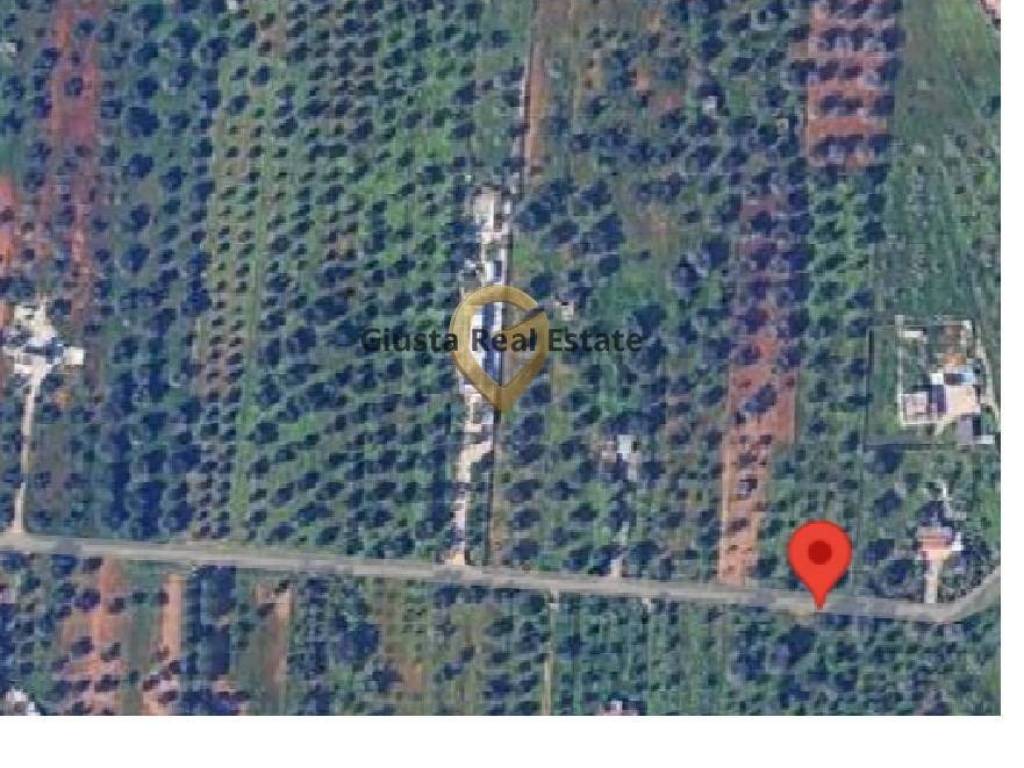 Terreno a San vito dei normanni in Contrada Gaeta Grande - Foto 5