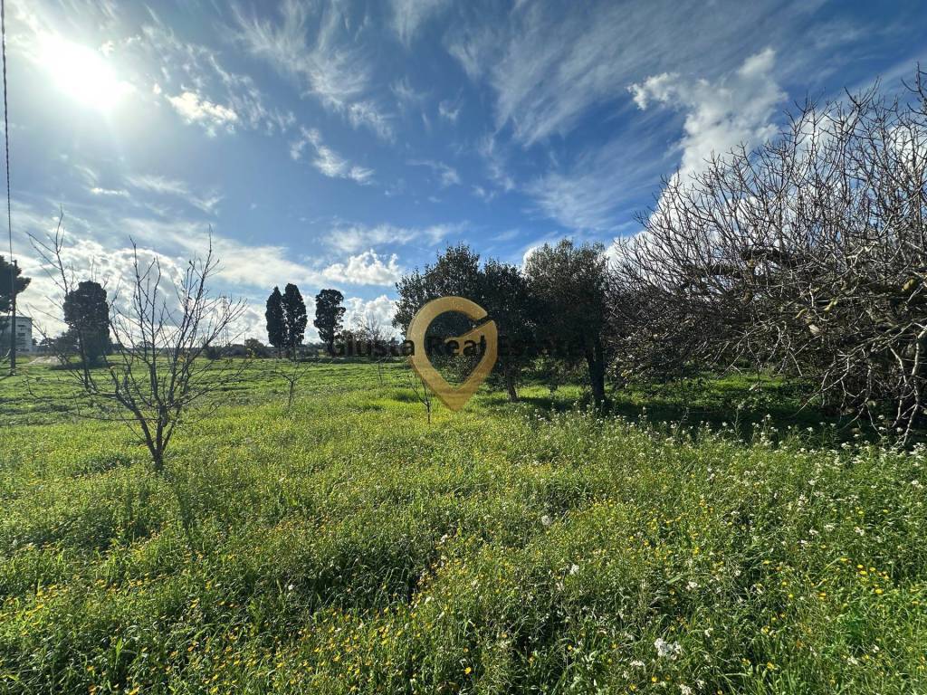 Rustico / casale a Brindisi in C.da Apani - Foto 2