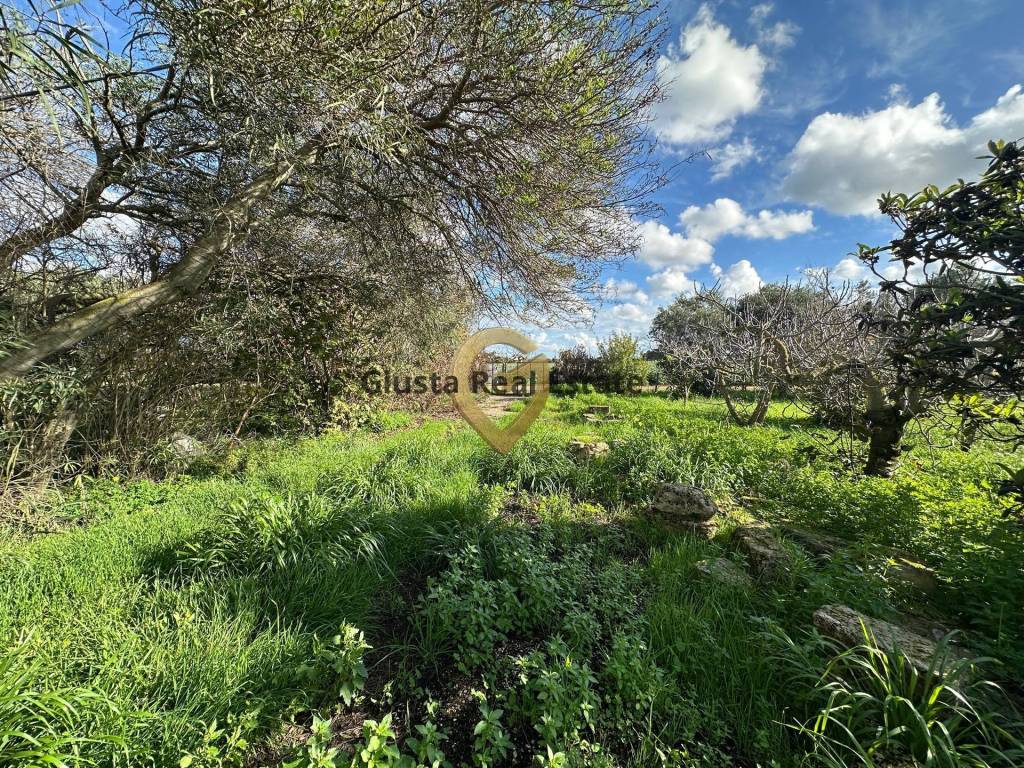 Rustico / casale a Brindisi in C.da Apani - Foto 3