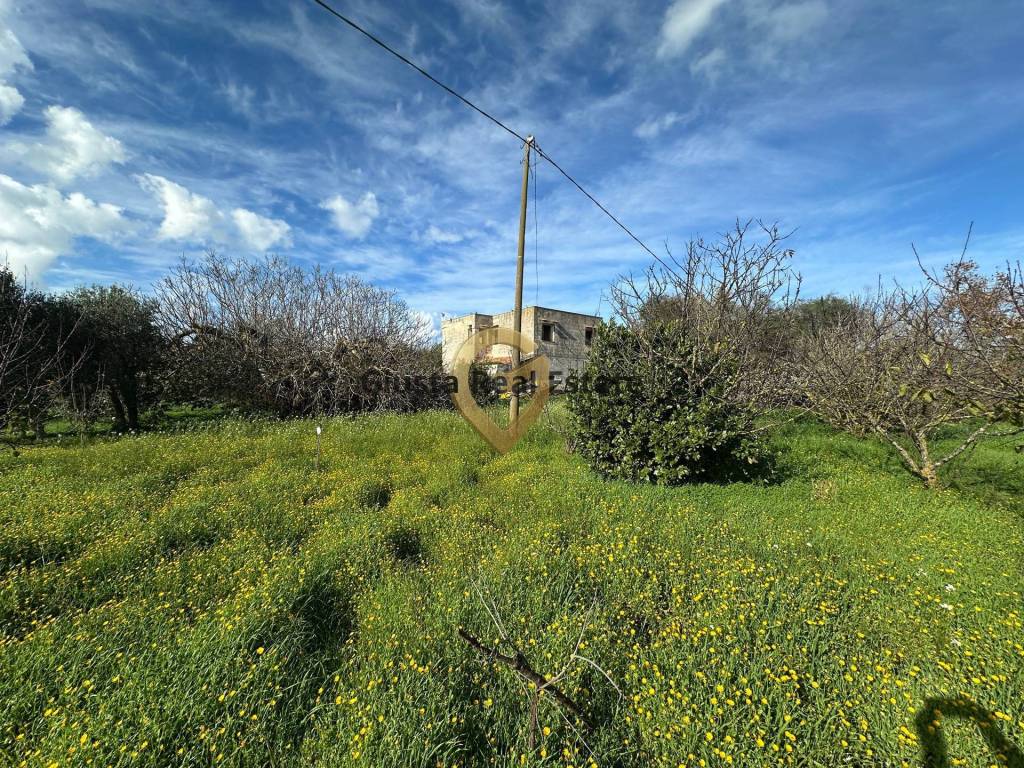 Rustico / casale a Brindisi in C.da Apani - Foto 5