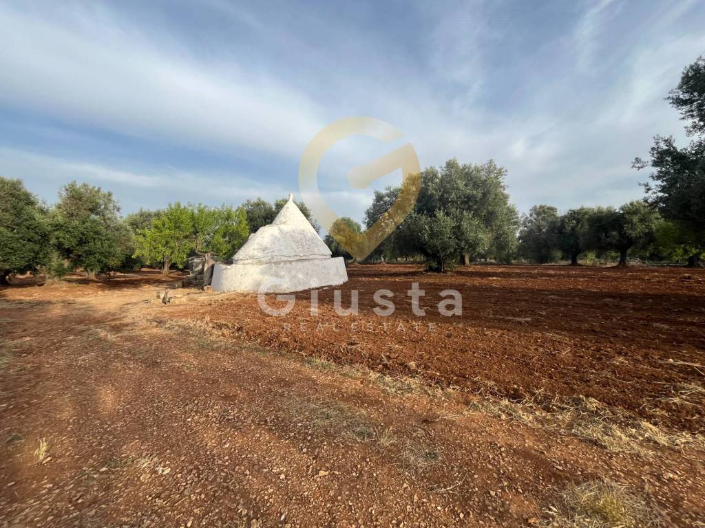 Rustico / casale a Ceglie messapica in Strada Provinciale 28 - Foto 4
