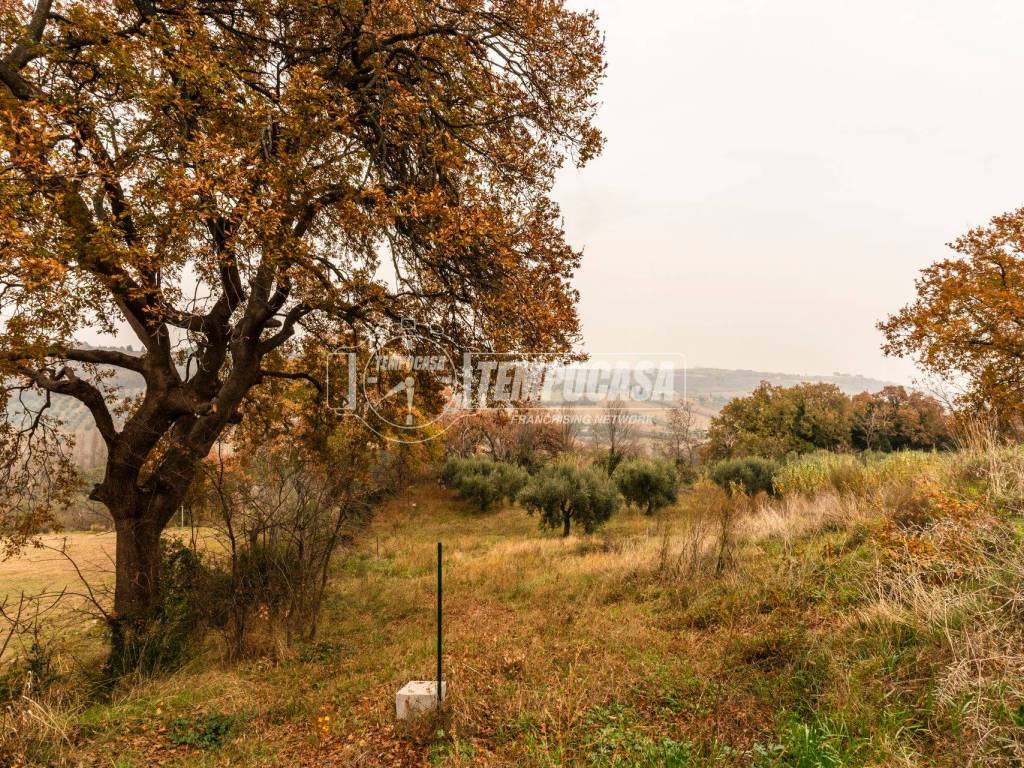 Terreno a Civitanova marche in Contrada Grazie - Foto 2