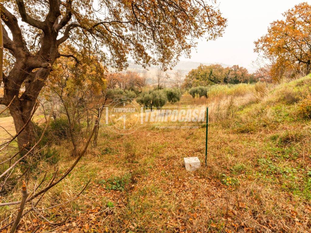 Terreno a Civitanova marche in Contrada Grazie - Foto 3