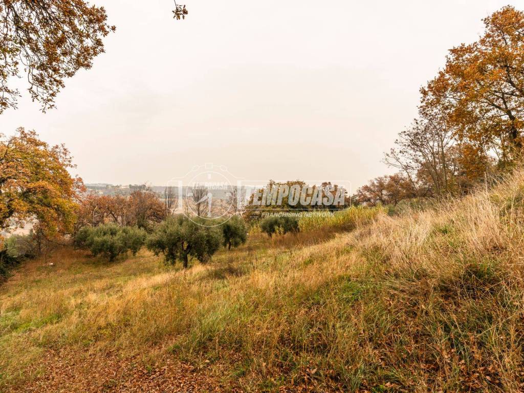 Terreno a Civitanova marche in Contrada Grazie - Foto 4