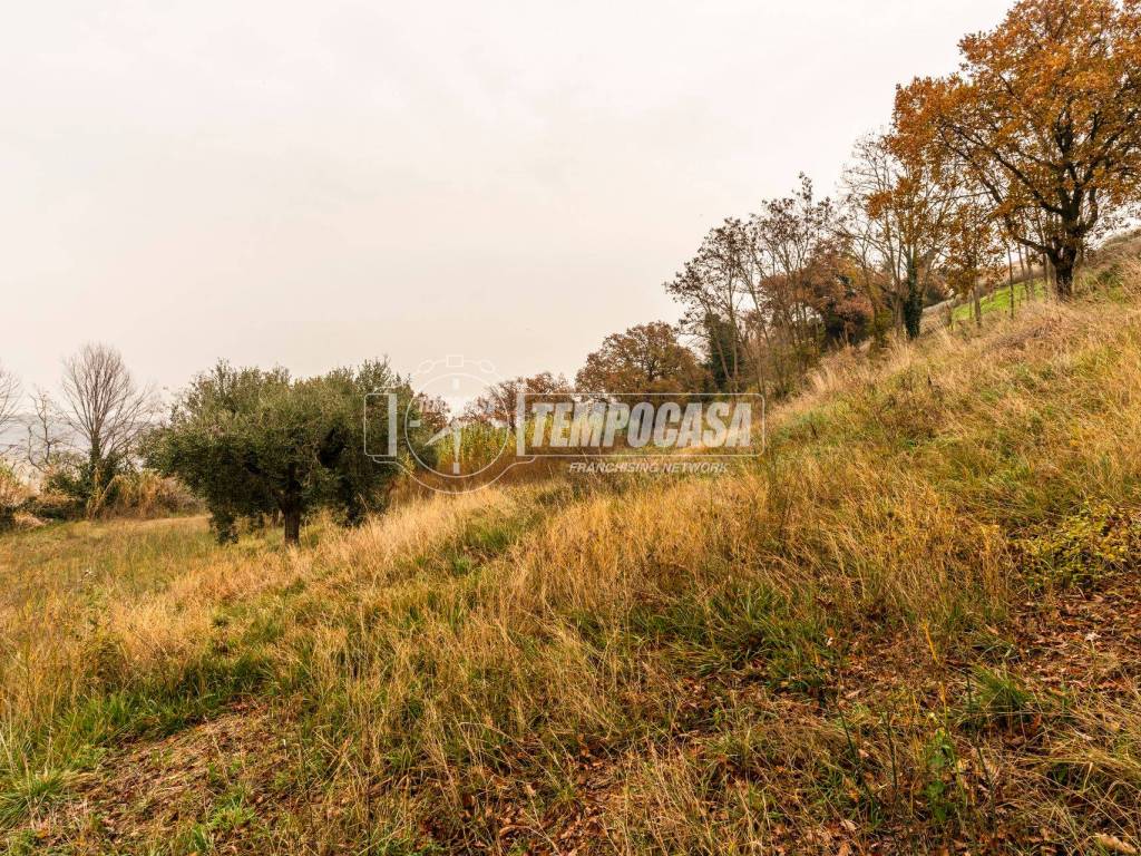 Terreno a Civitanova marche in Contrada Grazie - Foto 5