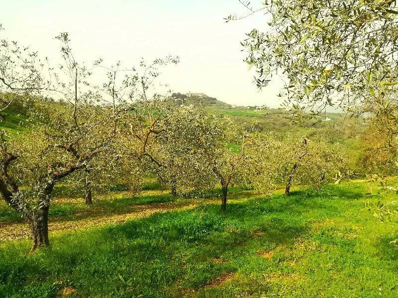 Terreno a Polpenazze del garda - Foto 2