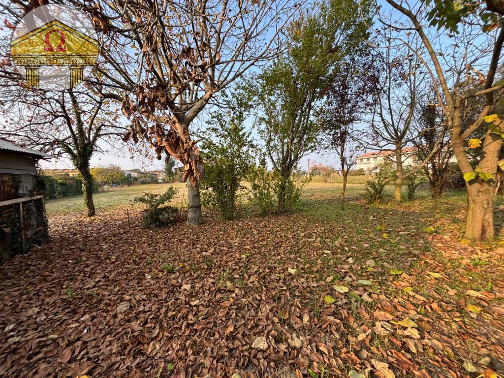 Rustico / casale a Ponzano veneto - Foto 2