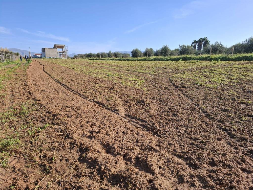 Terreno a Balestrate in Contrada Tavolata - Foto 2