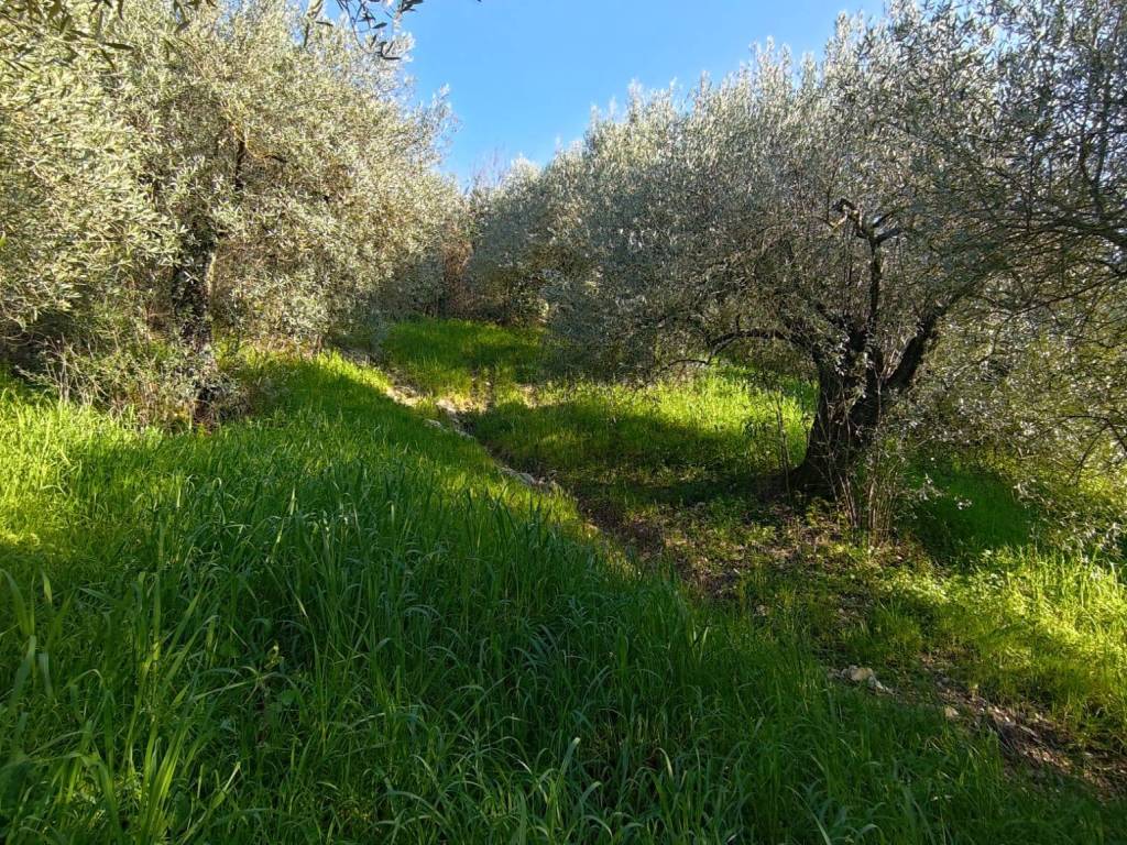 Terreno a Castel madama in Via La Uccetta - Foto 2