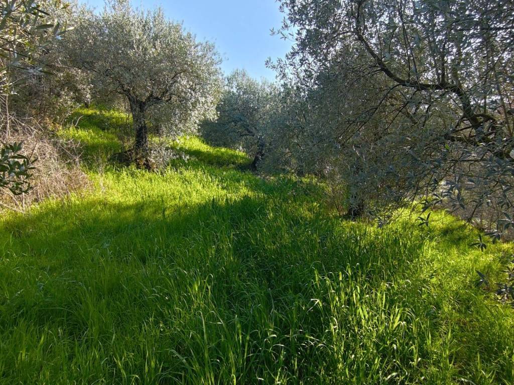 Terreno a Castel madama in Via La Uccetta - Foto 4
