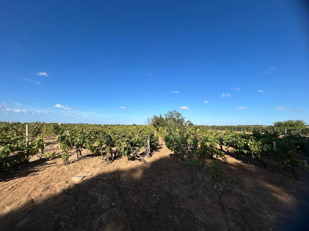 Rustico / casale a Sava in SP94 - Foto 5