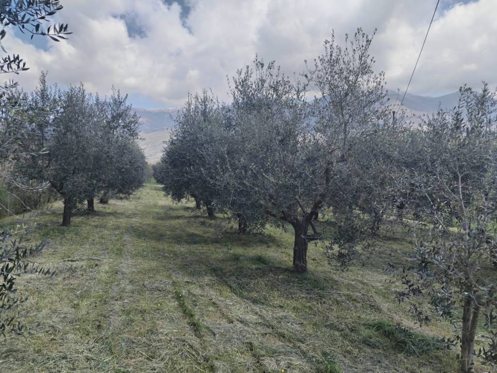 Terreno a Alatri in Via del Casolare - Foto 2