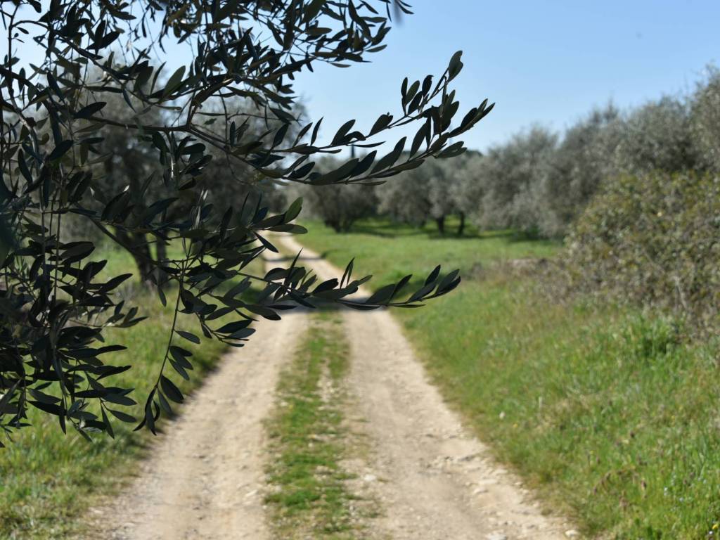 Rustico / casale a San casciano in val di pesa in Via Antonio Gramsci, 2 - Foto 4